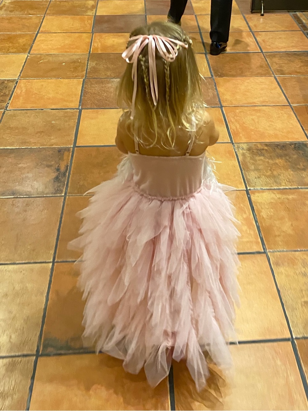 Tutu Du Monde Pale Pink Layered Tulle Gala Dress